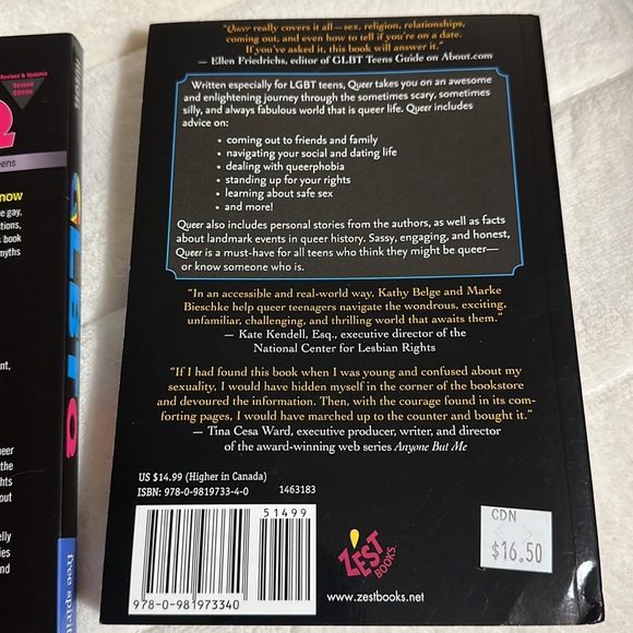 SALE!! Queer books for teens.     2 - Picture 5 of 8